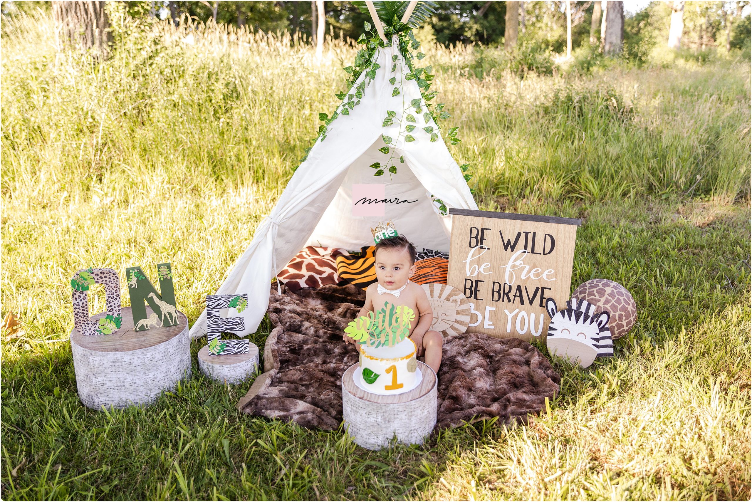 1st Birthday smash the cake under a cute tent , Where the wild things are theme, One props outdoor session, green trees and fields, Be wild be free be brave be you, fun beautiful family, grandparents photo session, mom and dad, brothers, kids photo, birthday cake, cute family, grandma and grandpa with grandchildren, loving family, beautiful family