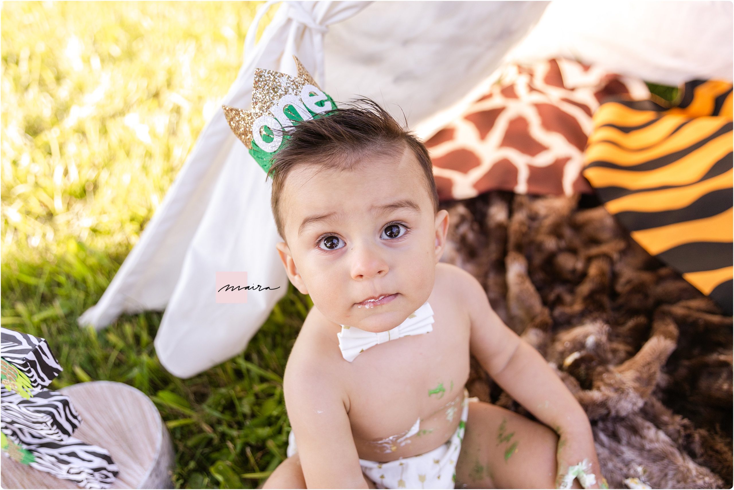 1st Birthday smash the cake under a cute tent , Where the wild things are theme, One props outdoor session, green trees and fields, Be wild be free be brave be you, fun beautiful family, grandparents photo session, mom and dad, brothers, kids photo
