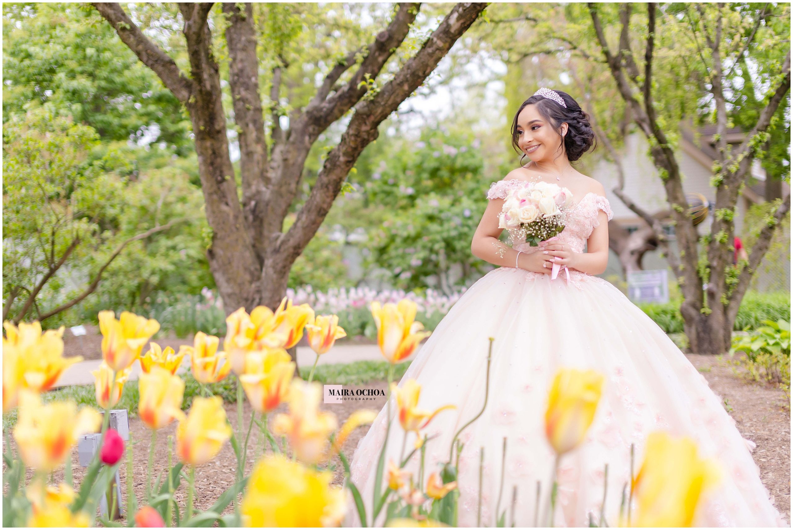 Pink Ball Gown Quinceañera outdoors spring flowers, red tulips