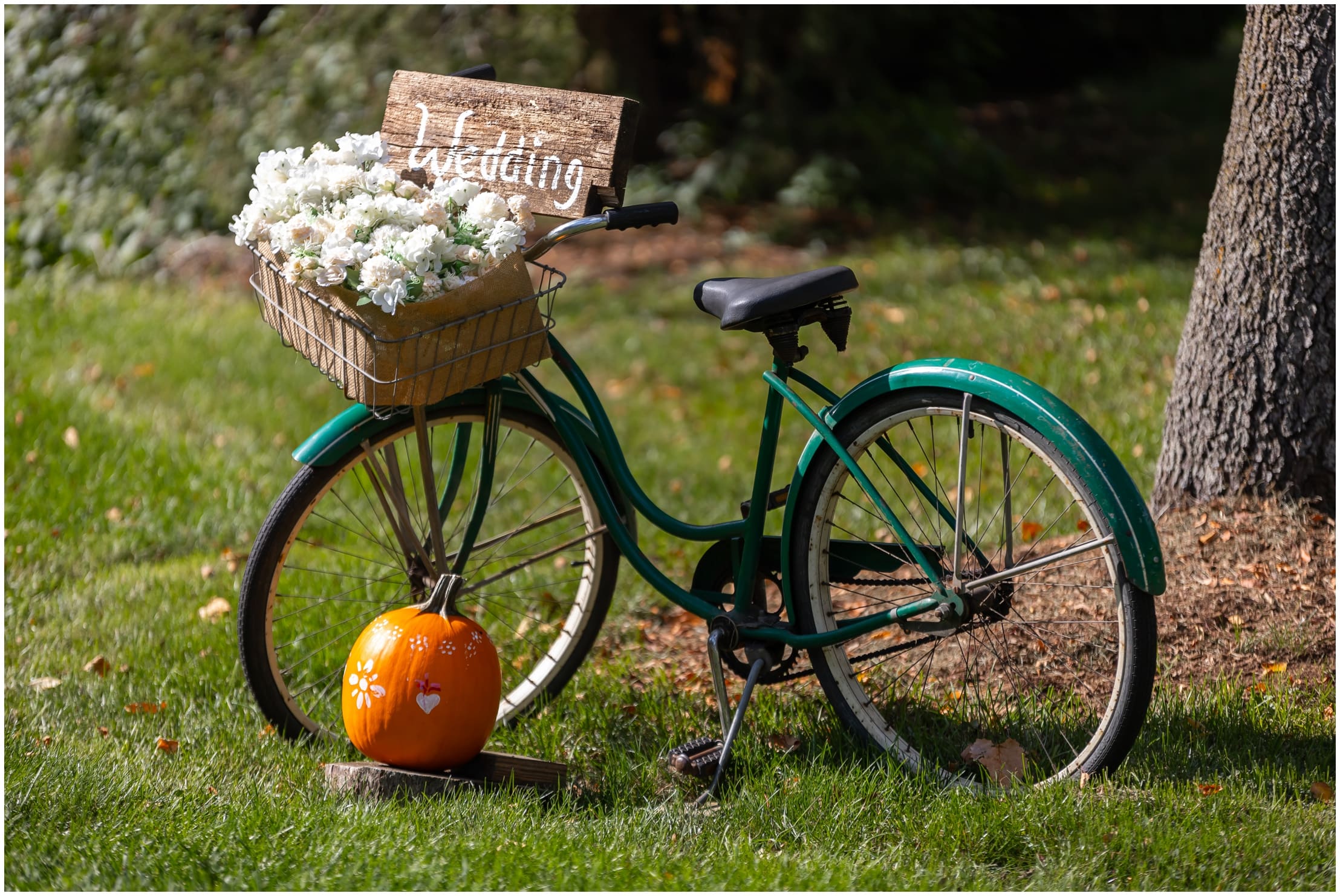 Vintage bike fall mums wedding sign decor backyard wedding Palatine IL
